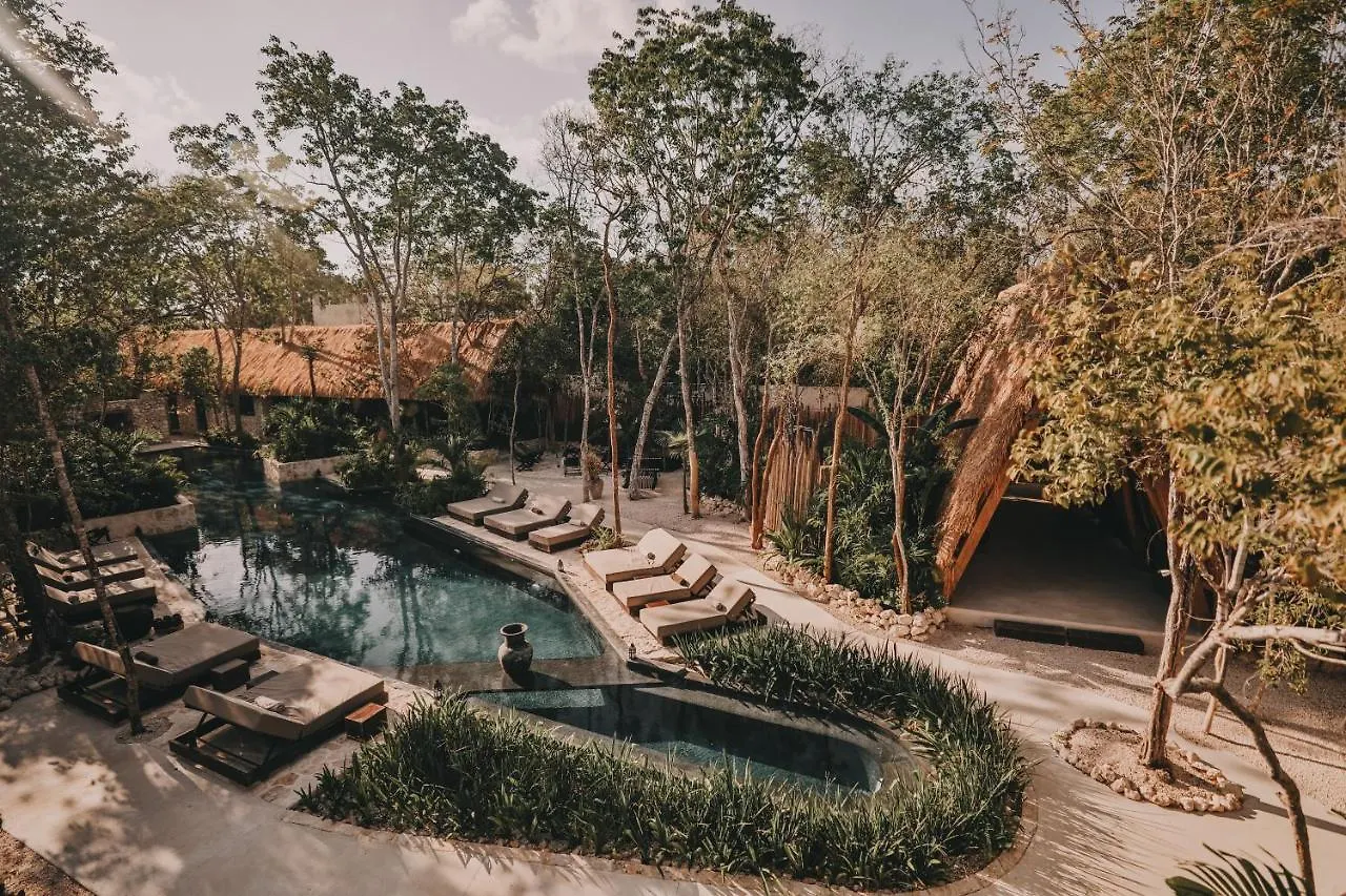 Hotel Bardo - Adults Only Tulum 5*,  México
