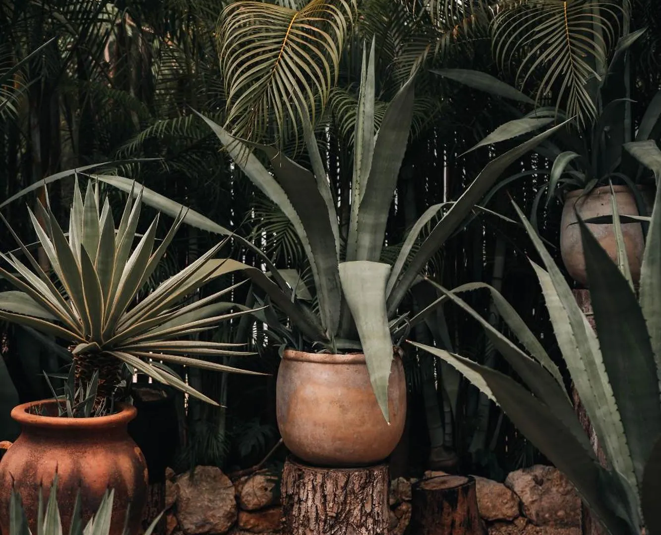 Hotel Bardo - Adults Only Tulum Mexico