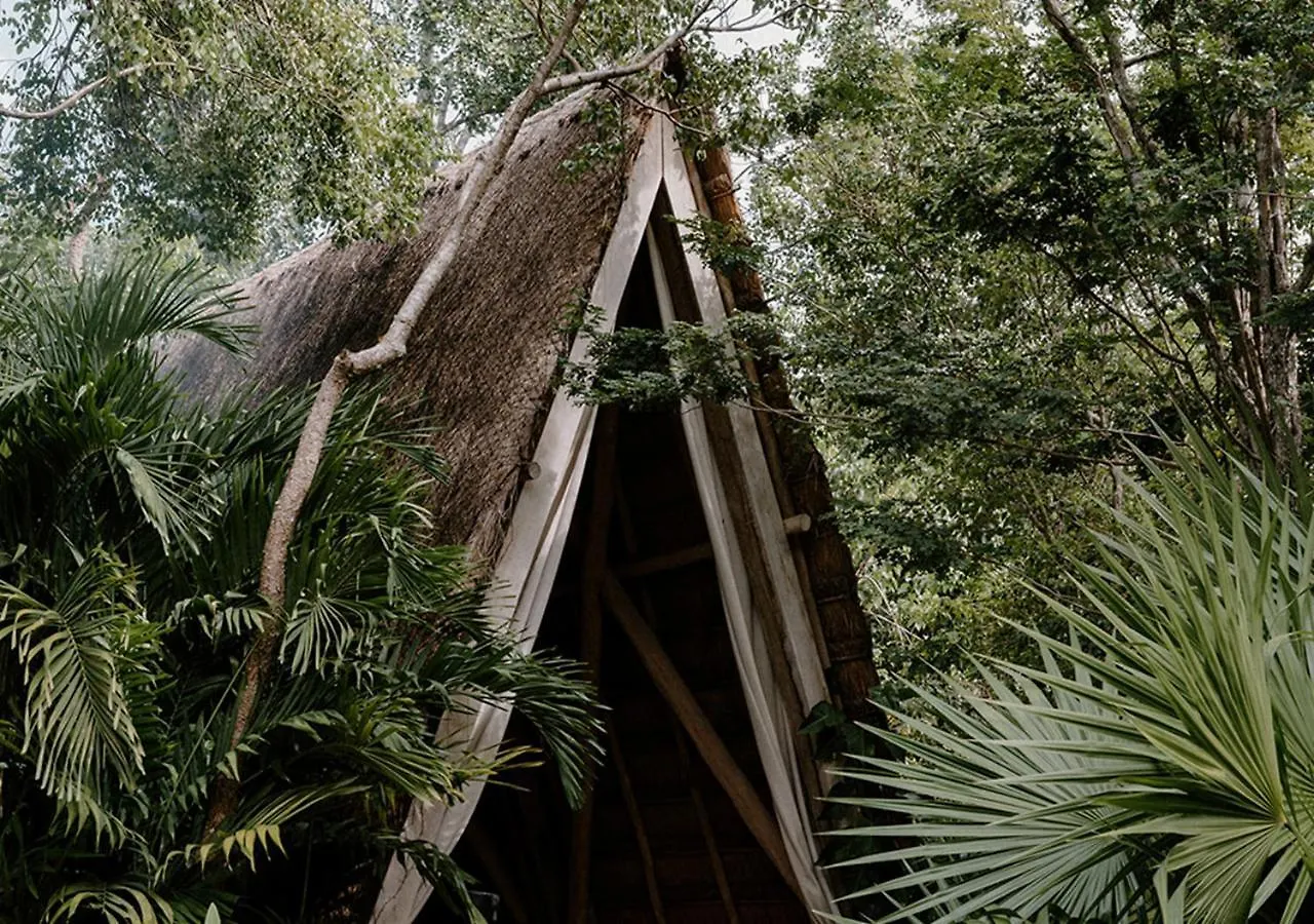 Hotel Bardo - Adults Only Tulum 5*,